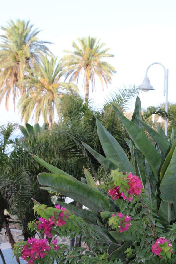 דירות Almuñécar Bella Andalucia מראה חיצוני תמונה
