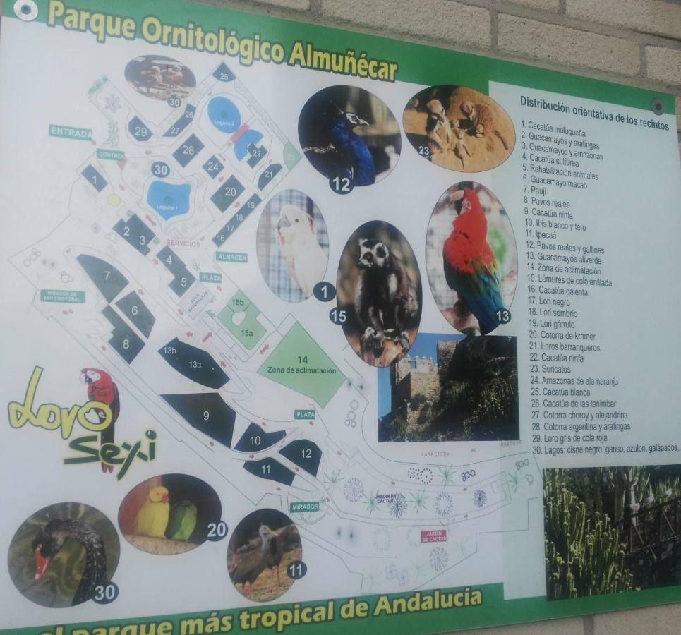 דירות Almuñécar Bella Andalucia מראה חיצוני תמונה